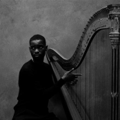 Musician Dave playing the Harp